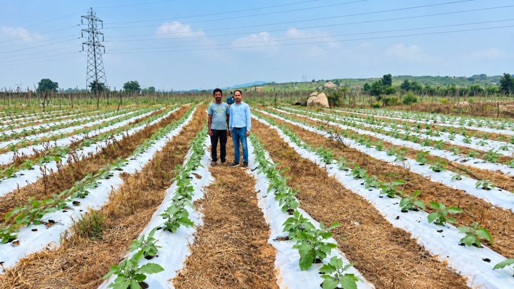 उद्यानिकी विभाग की योजनाओं से छत्रपाल सिंह कंवर ने संवारी खेती, सालाना आय बढ़कर 4-5 लाख रुपये तक पहुंची