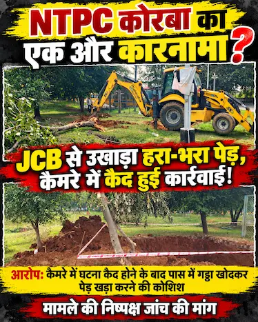 NTPC कोरबा में पेड़ उखाड़ने का मामला, JCB से कारनामा कैमरे में कैद होने के बाद उठे सवाल